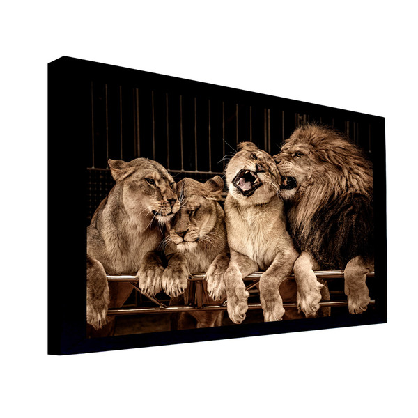 Quadro Decorativo 135x80 Cm Leão 051 Com Moldura Laqueada Pre