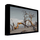 Quadro Decorativo 135x80 Cm Paisagem 023 Com Moldura Laqueada