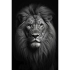 Quadro Decorativo 1 Tela Animais Leão Monarca Em Diversos Tam