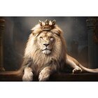 Quadro Decorativo 1 Tela Animais Leão Rei Em Trono Diversos T