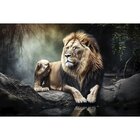 Quadro Decorativo 1 Tela Animais Leão Sereno Na Natureza Dive
