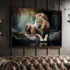 Quadro Decorativo 1 Tela Animais Leão Sereno Na Natureza Dive