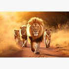 Quadro Decorativo 1 Tela Animais Leões Caminhando No Campo So