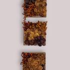 Quadro Decorativo 20 X 20 - Arte Botânica (modelo1)