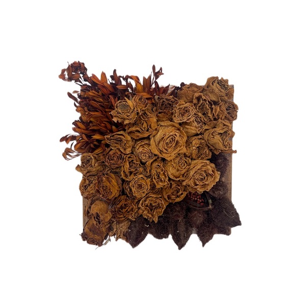 Quadro Decorativo 20 X 20 - Arte Botânica (modelo1)