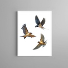 Quadro Decorativo 3 Andorinhas Voando 24x18cm - Com Vidro Mol