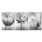 Quadro Decorativo 3 Flores Preto E Branco 70x150 Trio