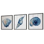 Quadro Decorativo 3 Telas Conchas Diversos Tamanhos Preto