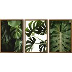 Quadro Decorativo 3 Telas Folhas Ii Diversos Tamanhos Natural