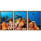 Quadro Decorativo 3 Telas Fundo Do Mar Diversos Tamanhos Bran