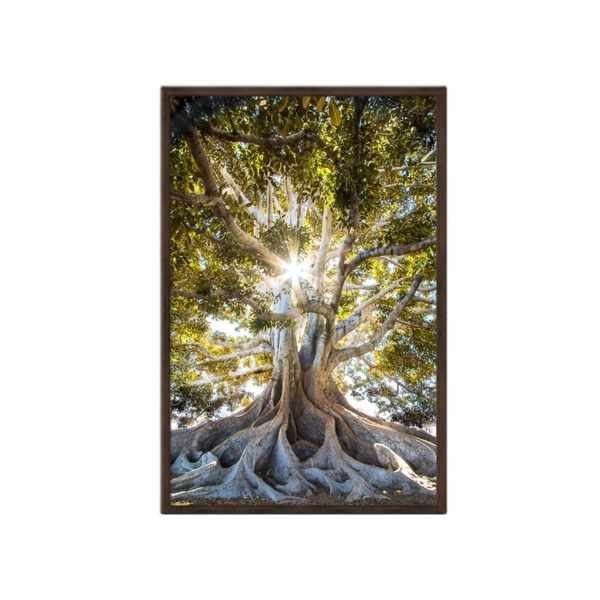 Quadro Decorativo 40x60cm Canvas Arvore Da Vida Raizes Sol Na