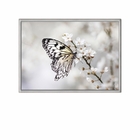 Quadro Decorativo 40x60cm Canvas Borboleta Galhos Folhas Bran