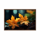 Quadro Decorativo 40x60cm Canvas Folha Outono Gota Dagua Flnt