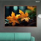 Quadro Decorativo 40x60cm Canvas Folha Outono Gota Dagua Flnt