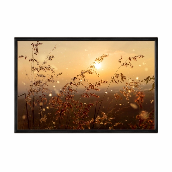 Quadro Decorativo 40x60cm Canvas Galhos Secos Ceu Por Do Sol