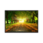 Quadro Decorativo 40x60cm Canvas Tunel Verde Outono Flnt032
