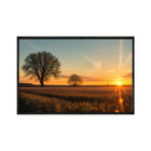 Quadro Decorativo 40x60cm Vidro Arvore Campo Por Do Sol Flnt0