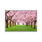 Quadro Decorativo 40x60cm Vidro Cerejeiras Rosas No Parque Fl