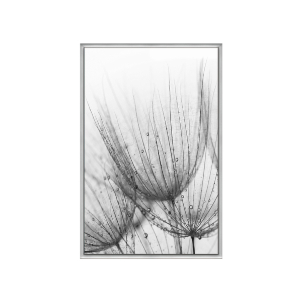 Quadro Decorativo 40x60cm Vidro Dente De Leao Preto E Branco