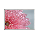 Quadro Decorativo 40x60cm Vidro Flor Gerbera Rosa Detalhe Mac
