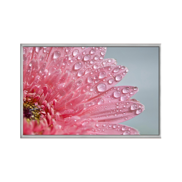 Quadro Decorativo 40x60cm Vidro Flor Gerbera Rosa Detalhe Mac