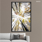 Quadro Decorativo 40x60cm Vidro Folhas De Outono Arvores Vist