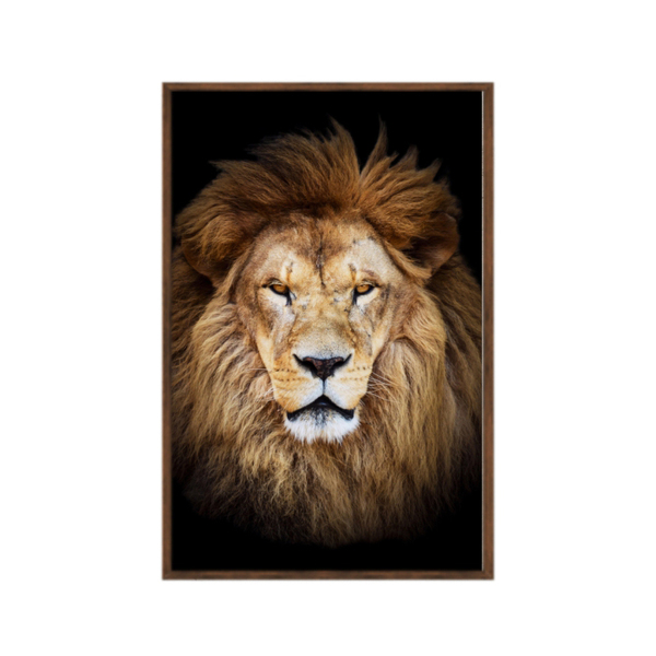 Quadro Decorativo 40x60cm Vidro Leao Grande Rei Colorido Anm0