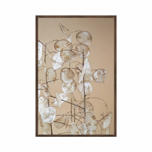 Quadro Decorativo 40x60cm Vidro Natureza Planta Lunaria Flnt1