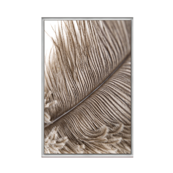 Quadro Decorativo 40x60cm Vidro Pena Passaro Abstrata Flnt044