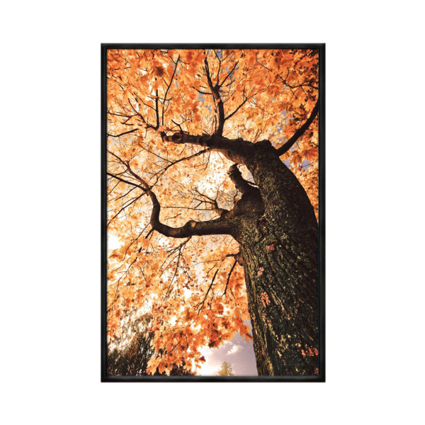 Quadro Decorativo 40x60cm Vidro Planta Folhas Outono Laranja