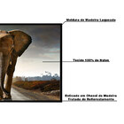 Quadro Decorativo 50x70 Cm Elefante 058 Com Moldura Laqueada