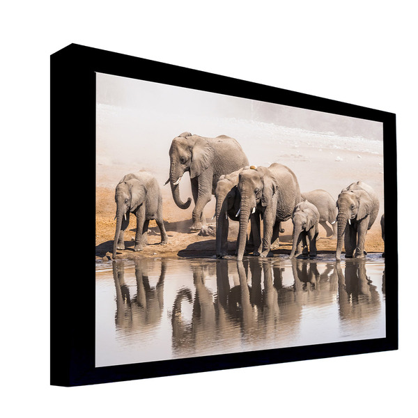 Quadro Decorativo 50x70 Cm Elefante 060 Com Moldura Laqueada