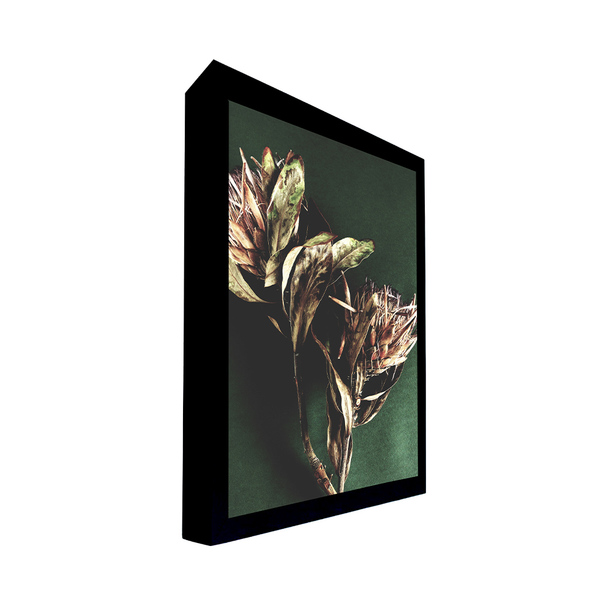 Quadro Decorativo 50x70 Cm Flor 009 Com Moldura Laqueada Pret