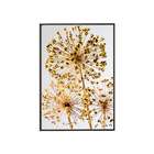 Quadro Decorativo 50x70 Cm Flor 020 Com Moldura Laqueada Pret