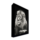 Quadro Decorativo 50x70 Cm Leão 008 Com Moldura Laqueada Pret