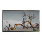 Quadro Decorativo 50x70 Cm Paisagem 023 Com Moldura Laqueada