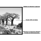 Quadro Decorativo 50x70 Cm Paisagem 028 Com Moldura Laqueada