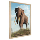 Quadro Decorativo 60x40 Model. Elefante Ii Natural