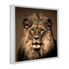 Quadro Decorativo 60x40 Model. Leão Rosto Ii Branca