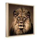 Quadro Decorativo 60x40 Model. Leão Rosto Ii Natural