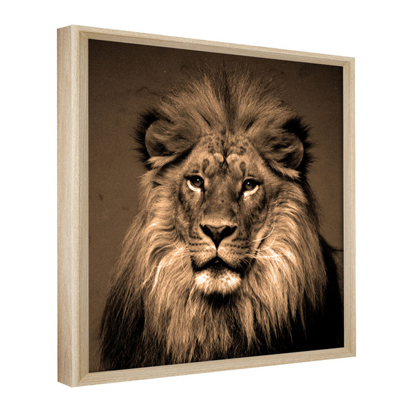 Quadro Decorativo 60x40 Model. Leão Rosto Ii Natural