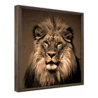 Quadro Decorativo 60x40 Model. Leão Rosto Ii Tabaco