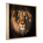 Quadro Decorativo 60x40 Model. Onça Pintada Natural