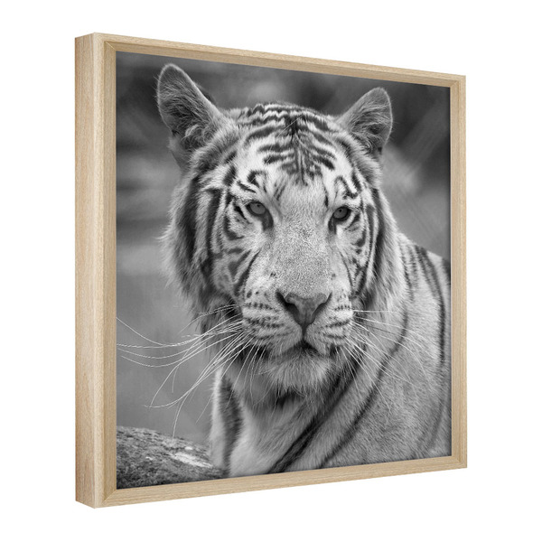 Quadro Decorativo 60x40 Model. Tigre Natural