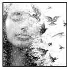 Quadro Decorativo 90x90 Cm 453 Art K