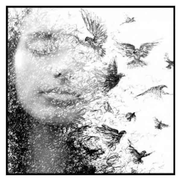 Quadro Decorativo 90x90 Cm 453 Art K