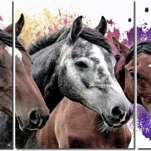 Quadro Decorativo  Cavalos Com Fundo Colorido Para Sala 3 Peç