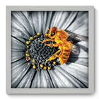 Quadro Decorativo - Abelha - 33cm X 33cm - 179qdsb