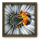 Quadro Decorativo - Abelha - 33cm X 33cm - 179qdsm