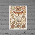 Quadro Decorativo Abundância 24x18cm Moldura:madeira Preta